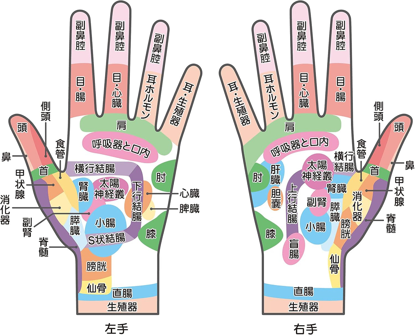 【FrogHand】グリップタイプ 手指ツボマッサージ|テレワーク・スマホ疲れ対策 握るだけで凝り解消
